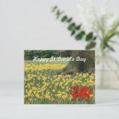 St. David's Day Daffodils Postkarte (Stehend Vorderseite)