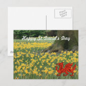 St. David's Day Daffodils Postkarte (Vorne/Hinten)