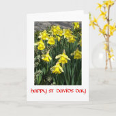 St David's Day Grußkarte Karte (Gelbe Blume)