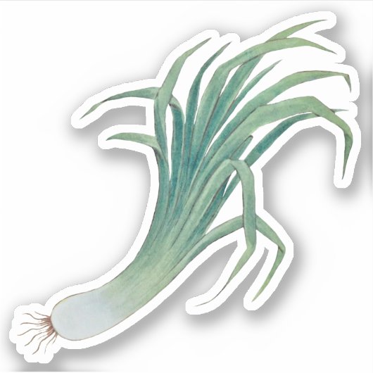 St. David's Day Leek Contour Sticker (fL) (Vorderseite)