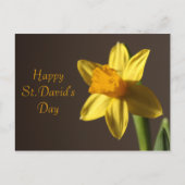 St.David's Day Postcard Postkarte (Vorderseite)