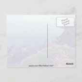 St. David's Head, Westernster Point of Wales Blume Postkarte (Rückseite)