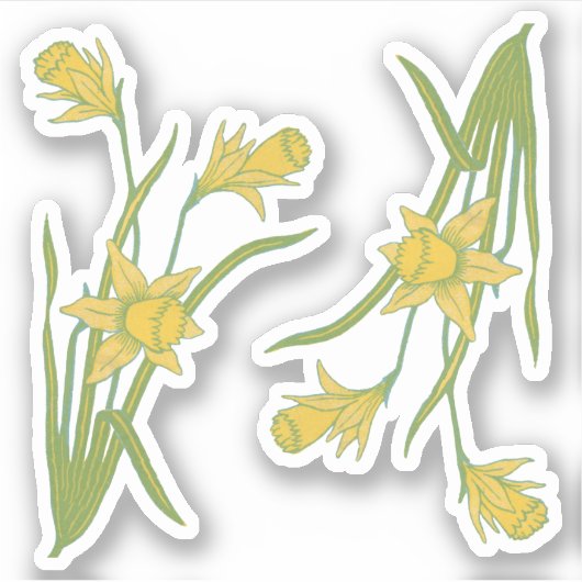 St. David's oder St. Piran's Day Daffodils (fR) - Aufkleber (Vorderseite)