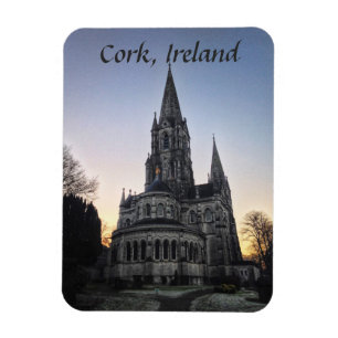 St. Die Kathedrale Flossebarres, Magnet