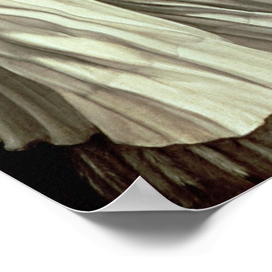 St. Elisabeth von Ungarn 1509 Poster (Ecke)