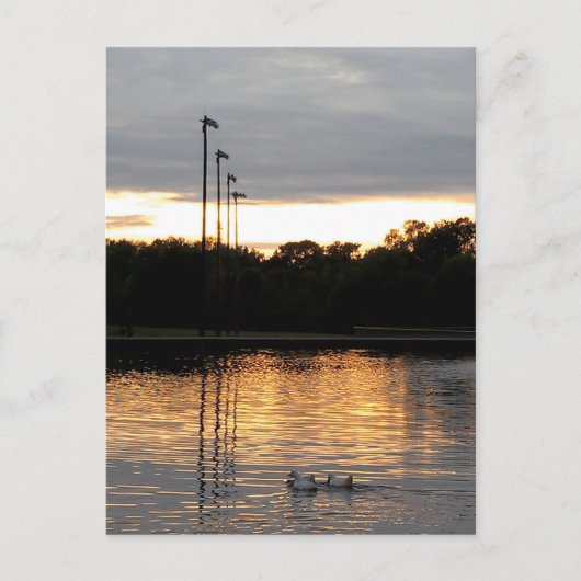 St. Ferdinand Park Postkarte (Vorderseite)