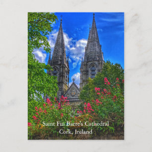 St. Fin Barre's Cathedral Cork, Irland Postcard Postkarte