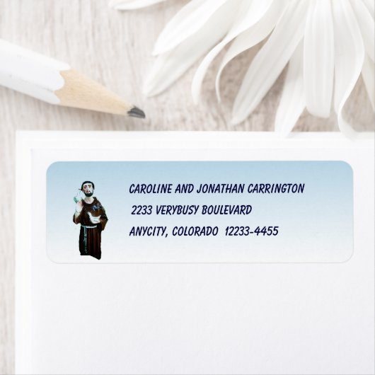 St. Francis (Insitu)