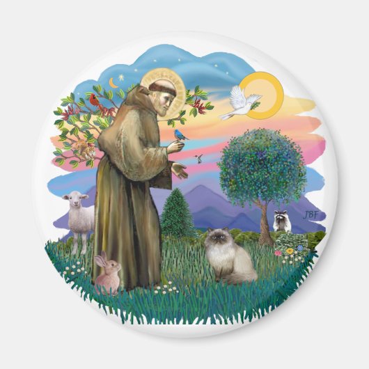 St. Francis (ff) - Siegel Point Himalayan cat Magnet (Vorne)