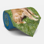 St Francis - Golden Retriever Krawatte (Gerollt)
