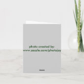 St Francis Karte (Rückseite)