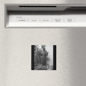 St. Francis Magnet (In Situ (Geschirrspüler))