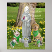 St. Francis-Quotation Poster (Vorne)