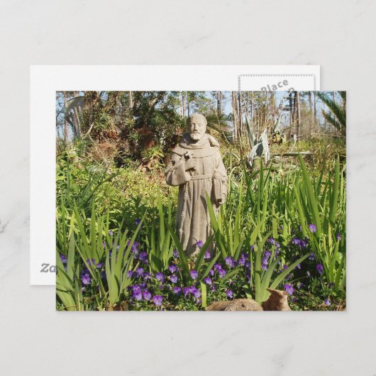 St. Francis Unter den Stiefmütterchen Postkarte (Vorne/Hinten)
