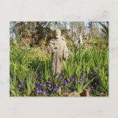 St. Francis Unter den Stiefmütterchen Postkarte (Vorderseite)