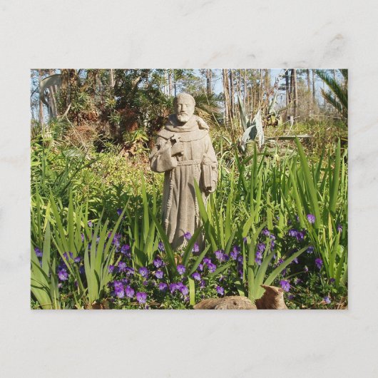 St. Francis Unter den Stiefmütterchen Postkarte (Vorderseite)
