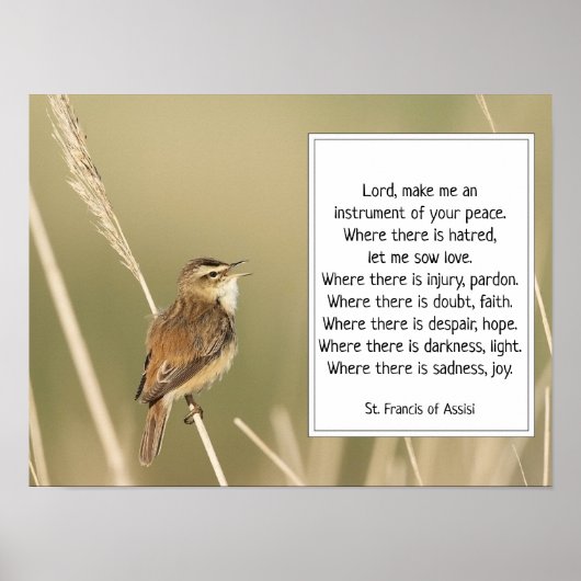 St. Francis von Assisi Gebet mit Bird Poster (Vorne)