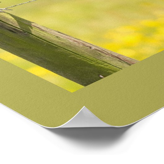 St. Francis von Assisi Gebet mit der Vogelfamilie Poster (Ecke)