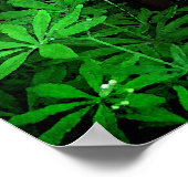 St. Francis von Assisi Poster (Ecke)