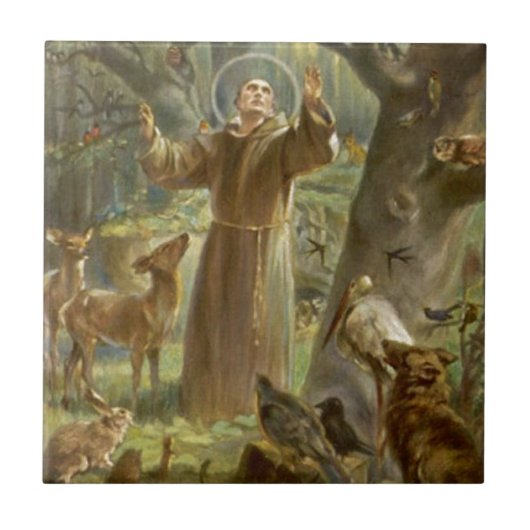 St Francis von Assisi predigend zu den Tieren Fliese (Vorderseite)