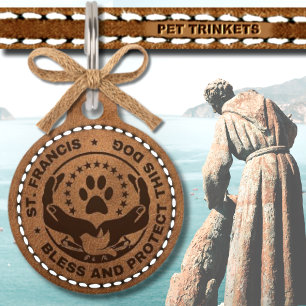 ST. Francise Bless schützt diesen Hund mit braunem Haustiermarke