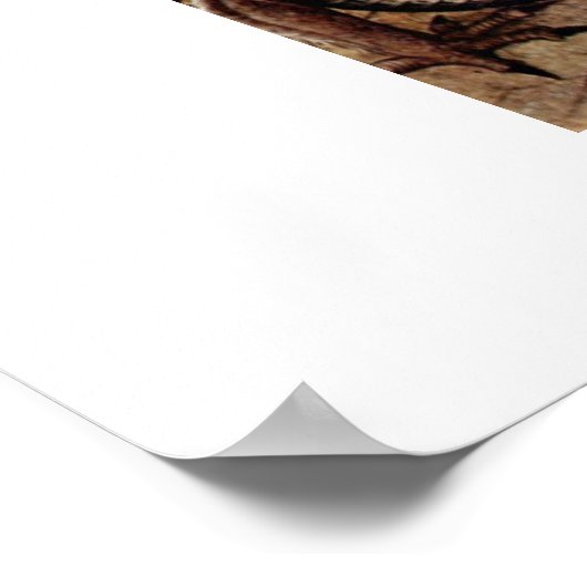 St. George By Carlo Crivelli Poster (Ecke)