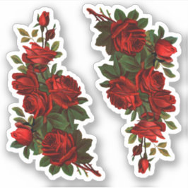 St. George's Day Rose (fR) Aufkleber