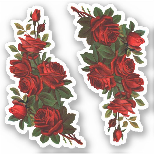 St. George's Day Rose (fR) Aufkleber (Vorderseite)