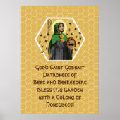 St. Gobnait von Ballyvourney (SAE 003) Poster (Vorne)