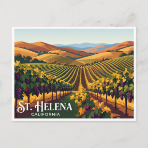 St. Helena Weinbergreihen Kalifornien Postkarte