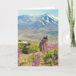 St. Helens Feiertagskarte