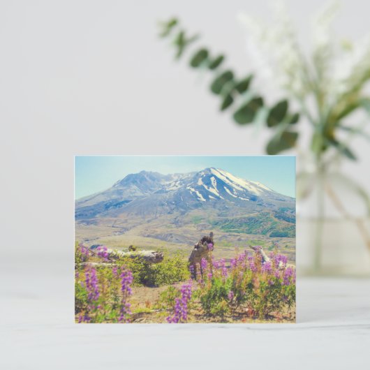 St. Helens Postkarte (Stehend Vorderseite)
