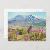 St. Helens Postkarte (Vorne/Hinten)