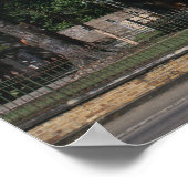 St James, Hafen von Spanien, Trinidad, Karibik Poster (Ecke)