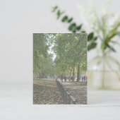 St Jame's Park Postkarte (Stehend Vorderseite)
