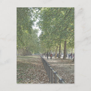 St Jame's Park Postkarte