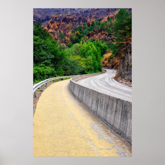 St. James-Weg Poster (Vorne)