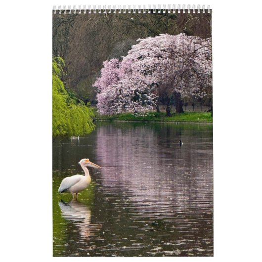 St James's Park, London  Kalender (Titelbild)