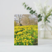 St James's Park London UK Postcard Postkarte (Stehend Vorderseite)