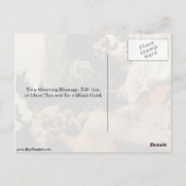 St. Jerome und Angel von Antonio Da Correggio Postkarte (Rückseite)