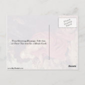 St. Jerome von Peter Paul Rubens Postkarte (Rückseite)