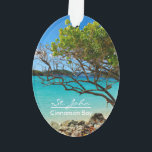 St. John Cinnamon Bay Beach Oval Ornament<br><div class="desc">Schöne St John Island, Cinnamon Bay Beach oval dekoriert! Dieses wunderschöne, zweiseitige tropische Dekor bietet einen atemberaubenden Blick auf den beliebten Strand von St. John USVI, Cinnamon Bay! Dieser Schmuck kommt auch in verschiedenen Formen! Es ist eine wunderbare Ergänzung zu Ihrer Schmuckkollektion und ein großes Geschenk für Familie oder Freunde...</div>