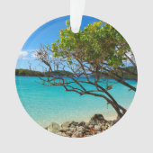St John Cinnamon Bay Beach Round Ornament (Vorderseite)
