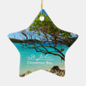 St John Cinnamon Bay Keramik Star Ornament (Vorne)