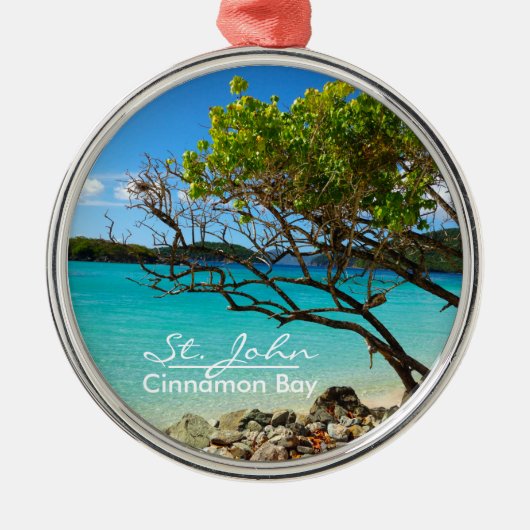 St John Cinnamon Bay Silver Frame Ornament (Vorne)