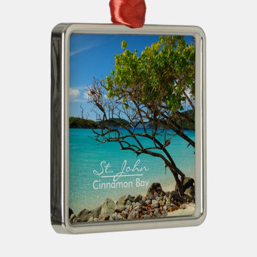 St John Cinnamon Bay Silver Frame Ornament (Rechts)