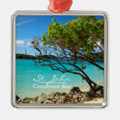 St John Cinnamon Bay Silver Frame Ornament (Vorne)