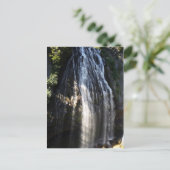 St. John - Reef Bay Wasserfall Postkarte (Stehend Vorderseite)