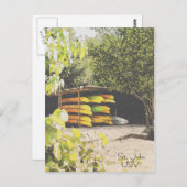 St. John USVI Postkarte (Vorne/Hinten)