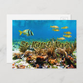 St. Kitts & Nevis Korallenriff Postkarte (Vorne/Hinten)